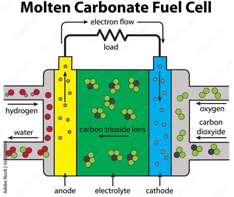 Fuel Cell Molten Carbonate Diagram Stock Vector | Adobe Stock