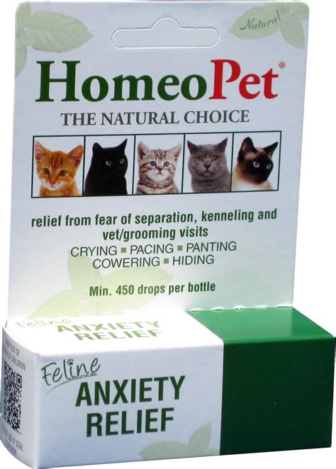 Natural Anti Anxiety Medicine For Cats - GESTUJG