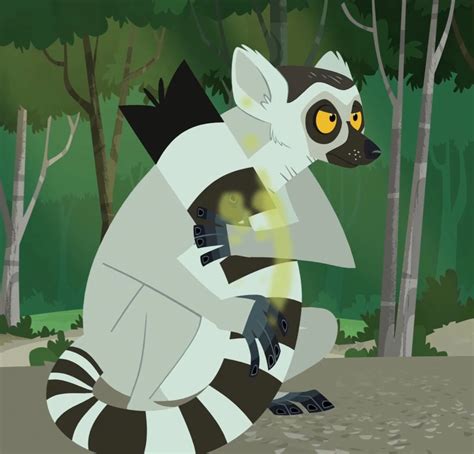 Zoboomafoo and you-Lemur day preview: ring-tailed lemur | New ideas by ...