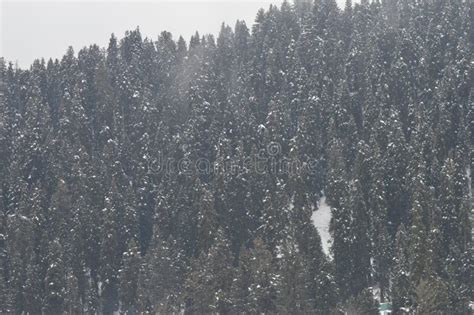 Gulmarg stock photo. Image of snow, snowfall, valley - 112389686