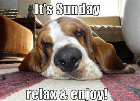 It's Sunday, Relax And Enjoy! | Funny sunday memes, Sunday funny images, Happy sunday quotes