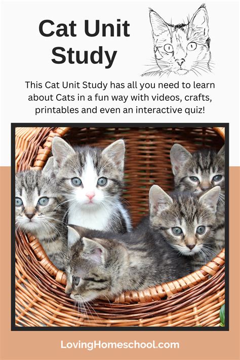 Cat Unit Study - LovingHomeschool.com