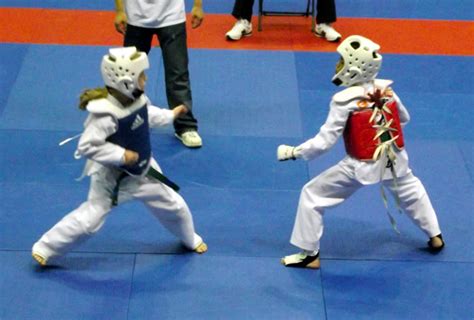 Taekwondo at Olympics: Taekwondo Fighting Stance and Olympic Taekwondo Tickets