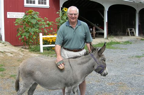 Animal Sanctuary - Inn at Mountain View Farm