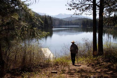 Alvord Lake Community Forest - Grizzly bear conservation and protection