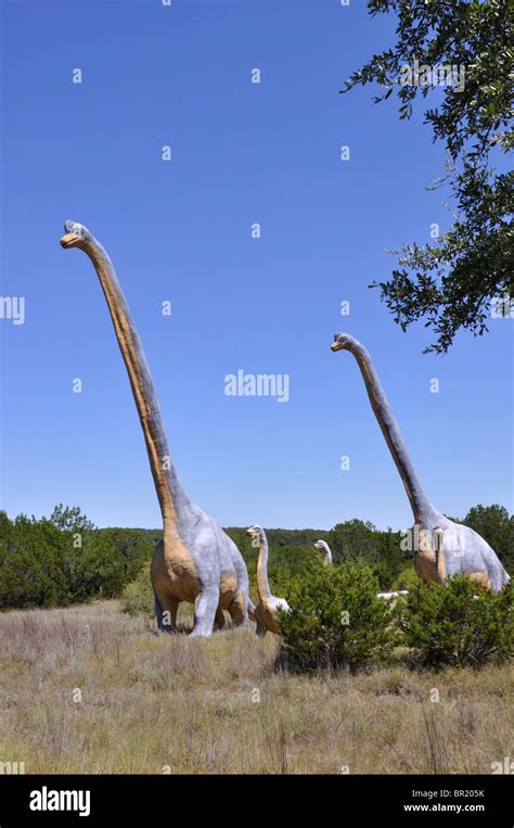 Ultrasaurus, Dinosaur World, Glen Rose, Texas, USA Stock Photo - Alamy