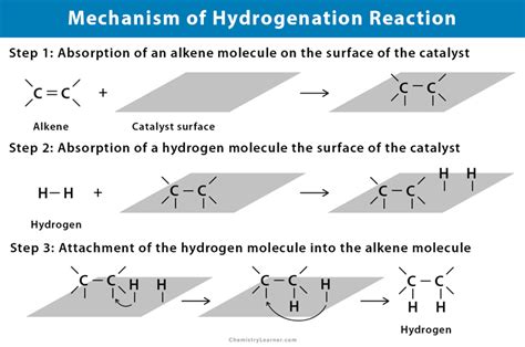 Hydrogenation: Definition, Examples, and Applications