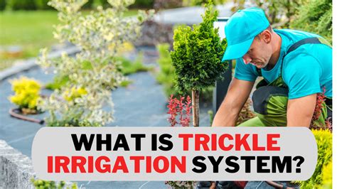 ट्रिकल सिंचाई( trickle irrigation) प्रणाली क्या है