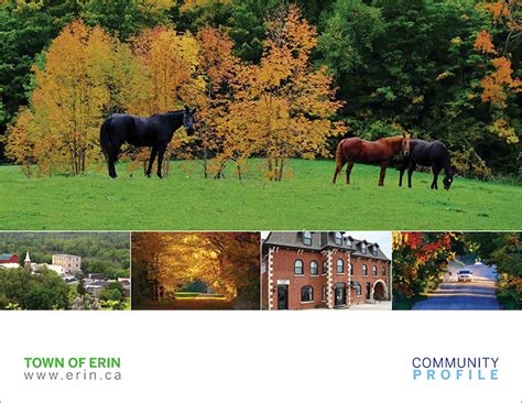 Town of Erin Community Profile - Simply Stated Solutions