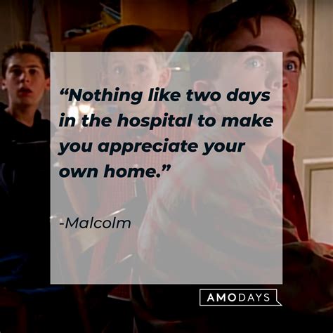 37 Malcolm in the Middle Quotes from One of the Greatest Sitcom Series