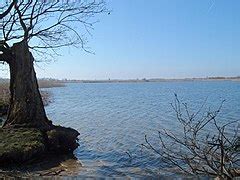 Category:Martham Broad - Wikimedia Commons