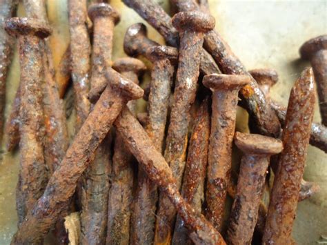 Rusted Nails Free Stock Photo - Free Images