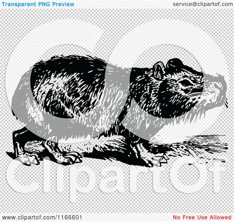 Clipart of a Retro Vintage Black and White Capybara - Royalty Free ...