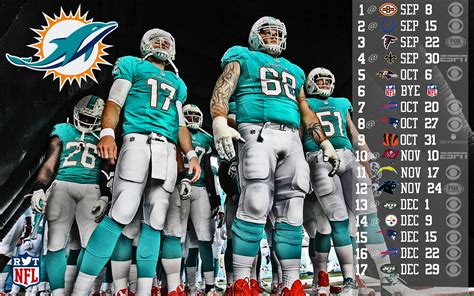 🔥 Free download Miami Dolphins [800x800] for your Desktop, Mobile ...