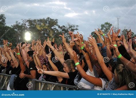 Cheering Concert Crowd