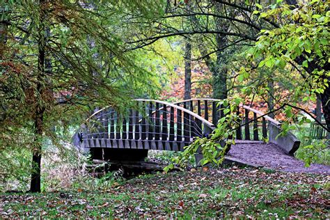 Quaint Bridge Over Creek Photograph by Debbie Oppermann