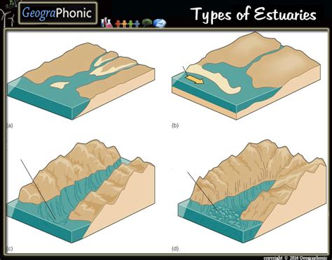 Quiz Game on different types of Estuaries Types of Estuaries, estuary ...