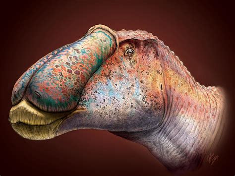 Local juvenile duck-billed dinosaur fossil discovery reveals new details about its appearance ...