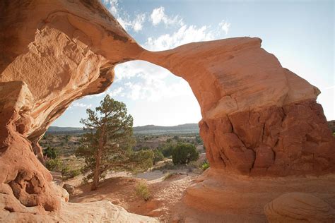 Metate Arch In The Devils Garden Photograph by Greg Winston