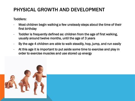 PPT - Physical Development Ages 1-3 PowerPoint Presentation, free download - ID:6815190