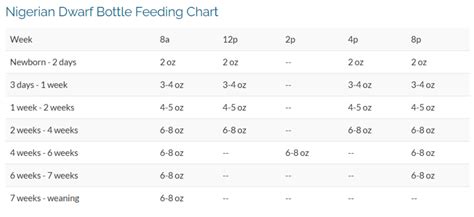 Bottle Feeding Nigerian Dwarf Goats - The Livestock Expert