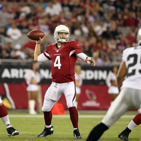 5 Reasons Why Arizona Cardinals QB Kevin Kolb Really Is Scared in the ...