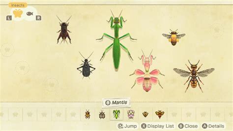 Animal Crossing New Horizons Insect Types Master Guide - Prima Games