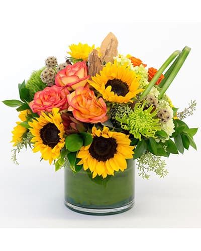 Penny's By Plaza Flowers has the perfect flowers to impress for Bosses ...