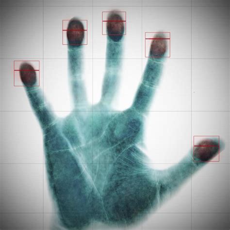 Crime scene fingerprints can move - Nexus Newsfeed