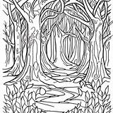 Enchanted Forest Examples Coloring Pages sketch template