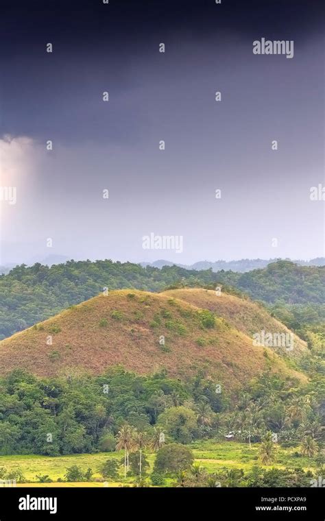 Chocolate Hills geological formation-rolling terrain of haycock hills ...