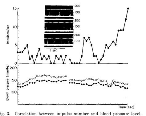 Figure 4 from Functional relation of Pacinian corpuscle to the vascular ...