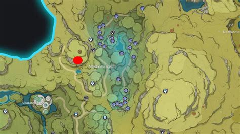 Genshin Impact Rukkashava Mushroom locations and Rukkashava farming tips | VG247