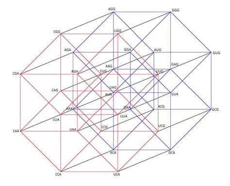 Figure A1. Five-dimensional hypercube NNR. The five-dimensional ...