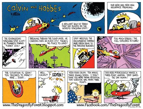 The Dragonfly Forest: Is Calvin from Calvin and Hobbes ADHD?