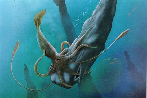 Kraken Sea Monster Discovered