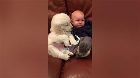 Puppy Kisses Baby - YouTube