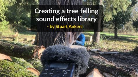 How To Create A Tree Felling Sound Effects Library - A Highlight By ...