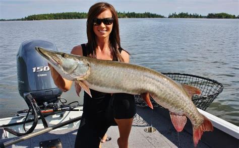 Lake of the Woods Kenora fishing guide - Musky Guide