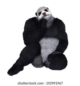 Panda Man Stock Illustration 192991967 | Shutterstock