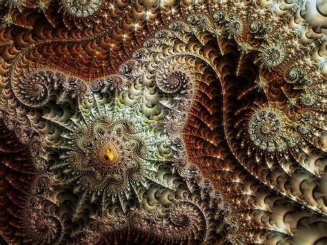 Pin by Hans Rosenschwein on Mermaid in the tower | Fractals in nature, Organic shapes art ...