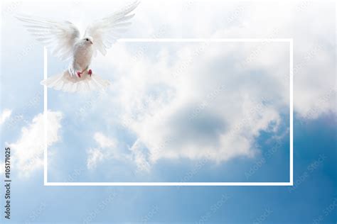 Sky Funeral Background Stock Illustration | Adobe Stock