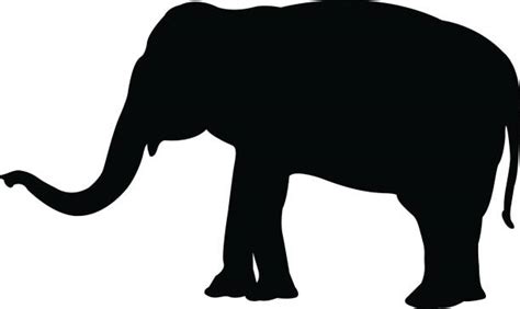 1,400+ Asian Elephant Stock Illustrations, Royalty-Free Vector Graphics ...