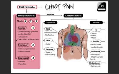 chest-pain-schema-mov – The Clinical Problem Solvers