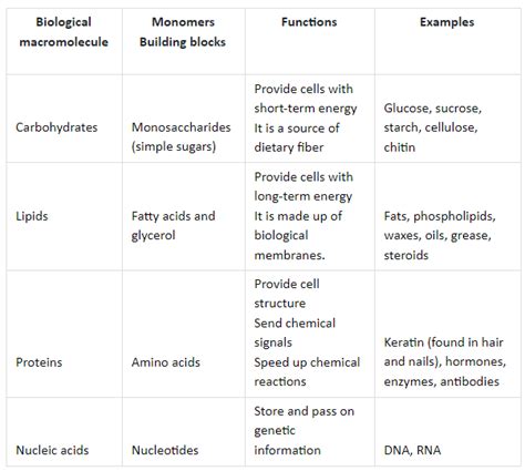 Structure and Function of Biological Macromolecules Study Guide ...