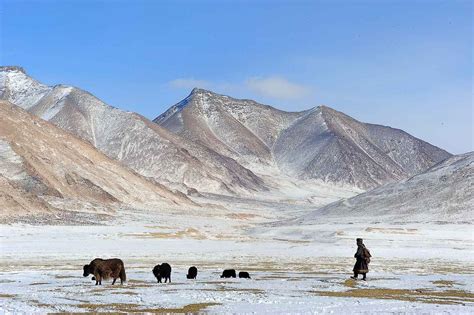 Ladakh Winter photo tour gallery - Travelshooters