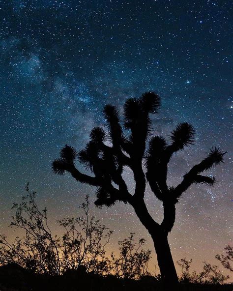 Astrophotography and Stargazing at Joshua Tree National Park, California // @estherjulee #jtree ...