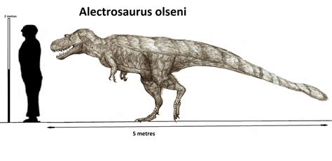 Alectrosaurus olseni by Teratophoneus on DeviantArt