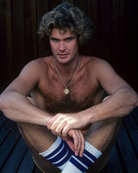 Don't Hassle The Hoff! 30 Cheesy Portraits of David Hasselhoff Like You ...