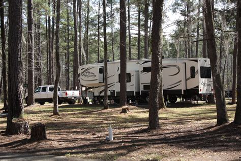 Campgrounds, cabins temporarily close for maintenance at Roland Cooper State Park as it ...